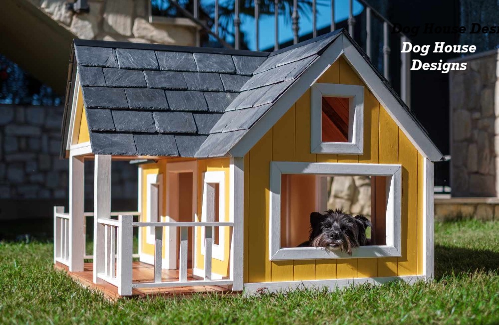 Dog House Designs